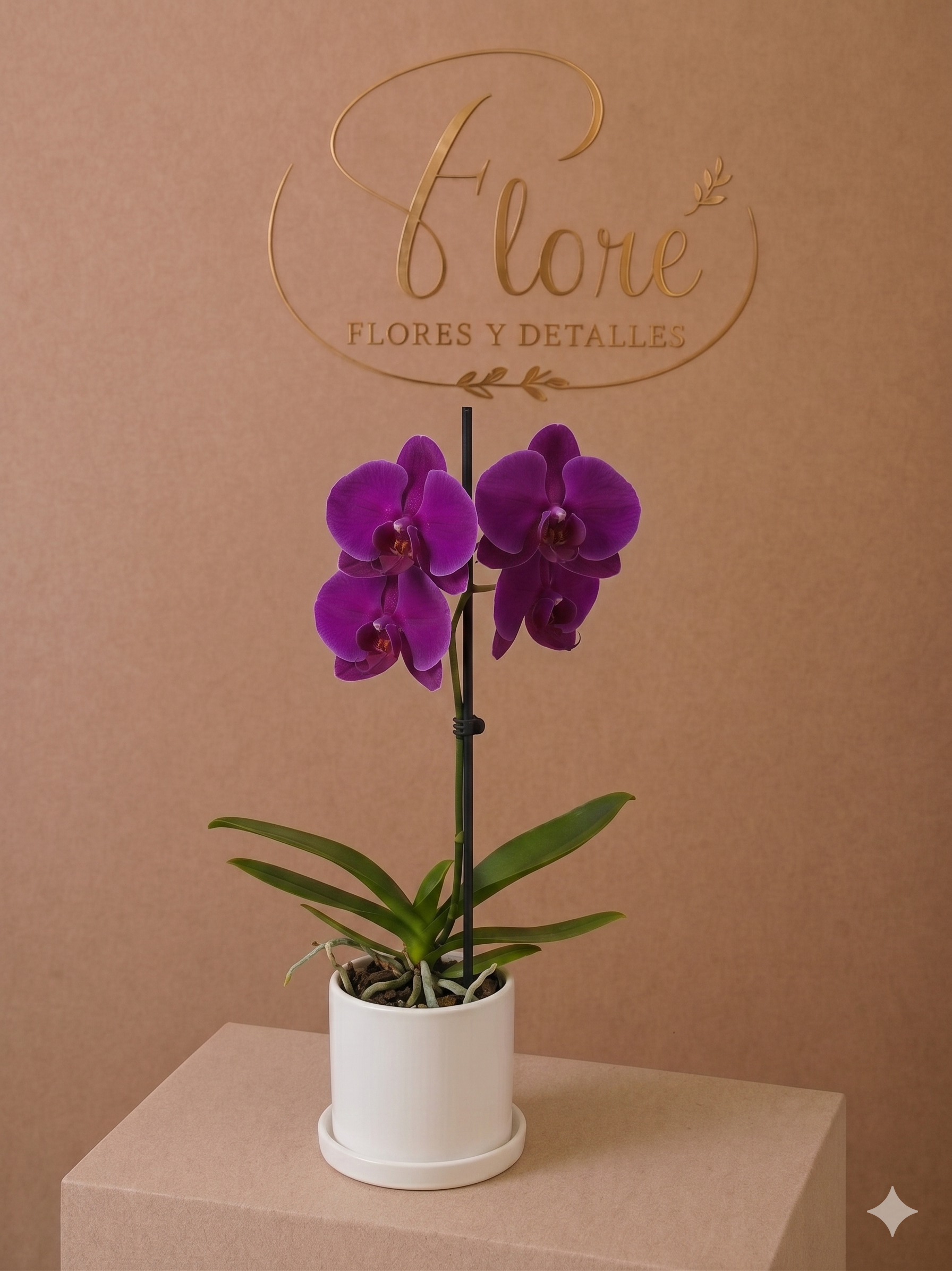 Orquídea
