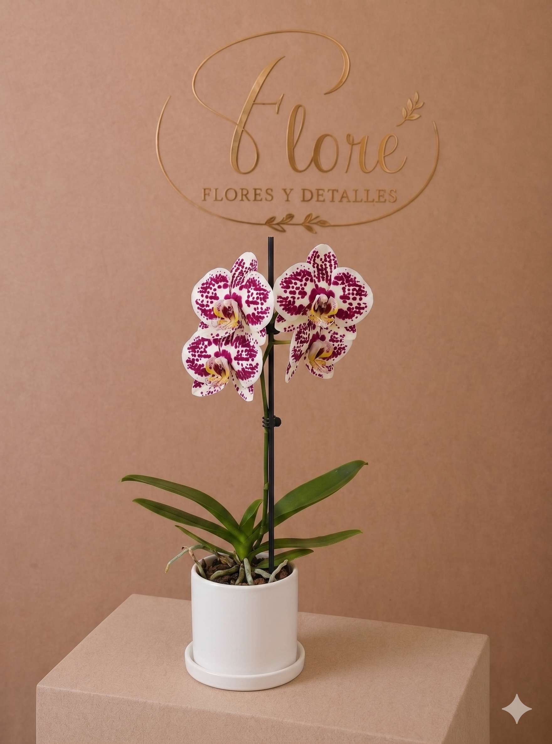 Orquídea