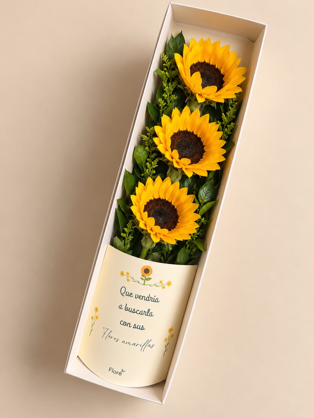 Caja Girasol