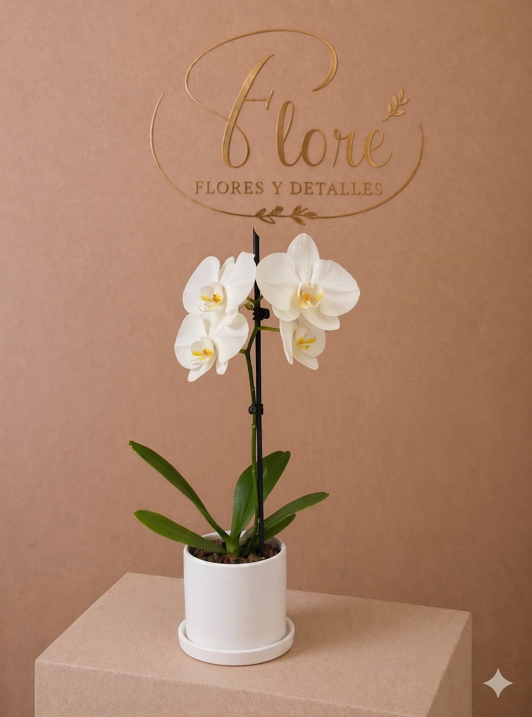 Orquídea