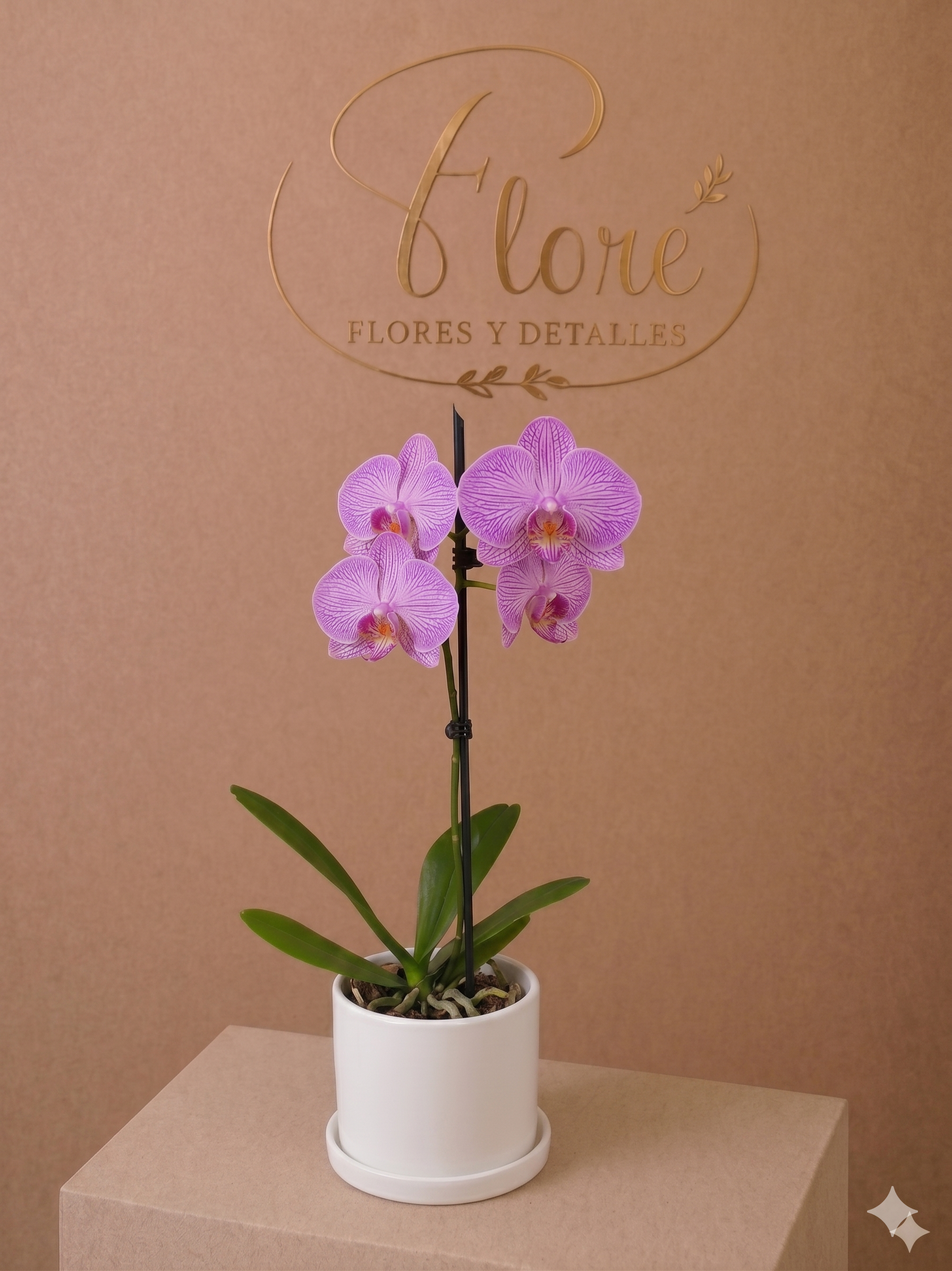Orquídea